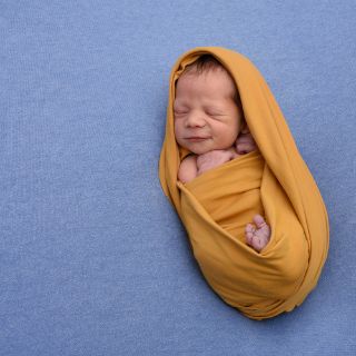 Gabriel David