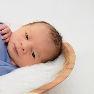 Mateo