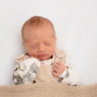 Felix
