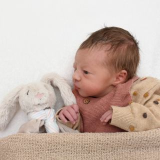 Lilli