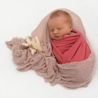 Quinn Rose
