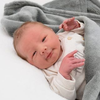Tamme Leevi