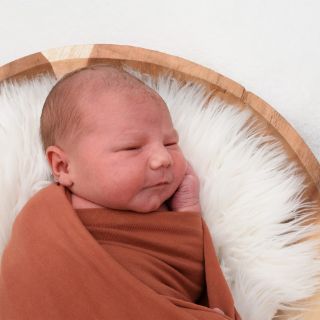Piet