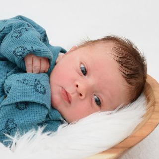 Demian