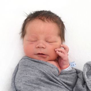 Gustav Nicolas