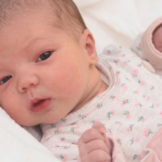 Isabella
