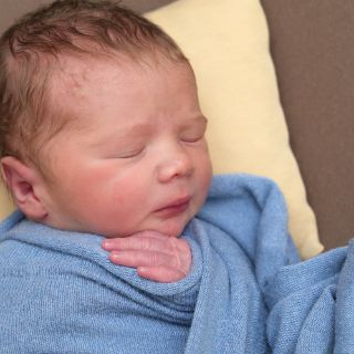 Elian-Damon