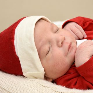 Alexander