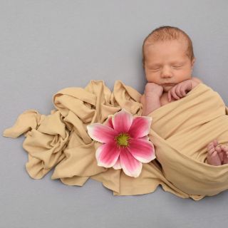 Malou Rose