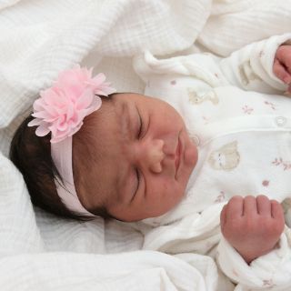 Lilia