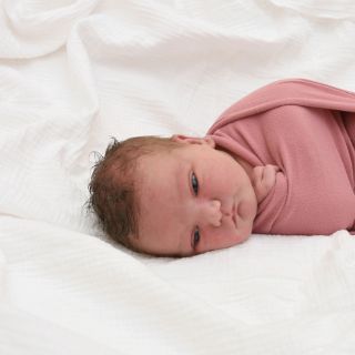 Ivy Marie