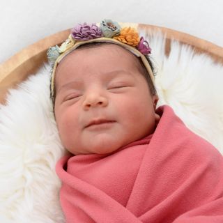 Ayla