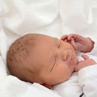 Emilia Ava