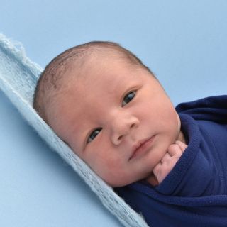 Nuri David