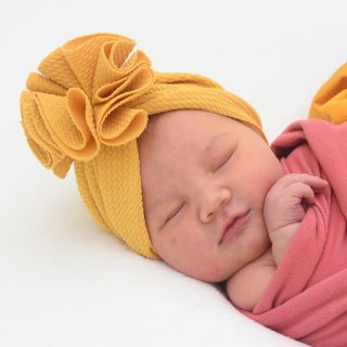 Sofia Himawari