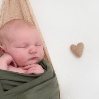 Fynn