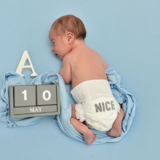 Alexander