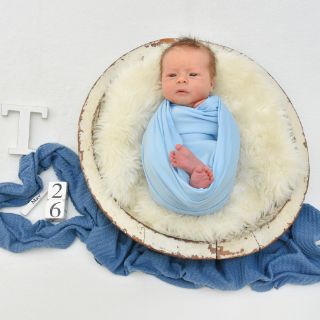 Taavi Theodor