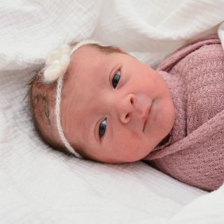 Aurelia Anthea