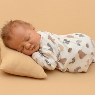 Justus Luca
