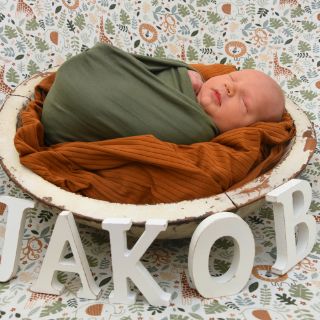 Jakob