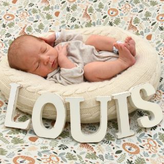 Louis
