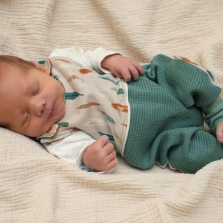 Gustav Theo