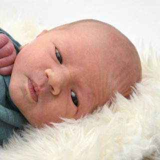 Lio Alexander