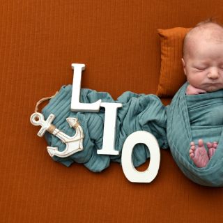 Lio