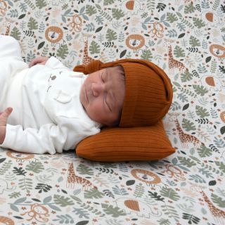 Sanad