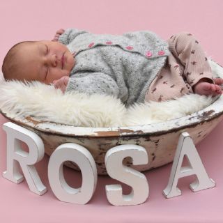 Rosa Charlotte