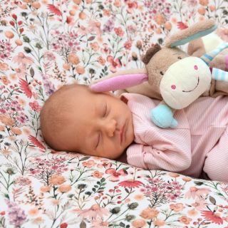 Lilli