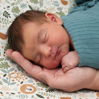 Ezra David