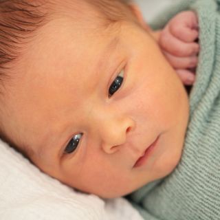 Ada-Levi