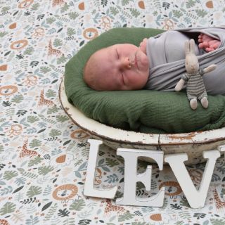 Levi