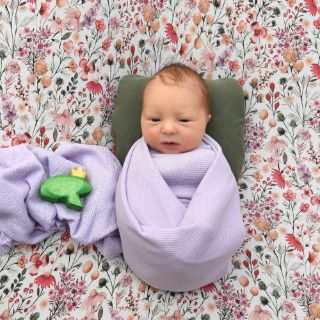 Liddy Alma