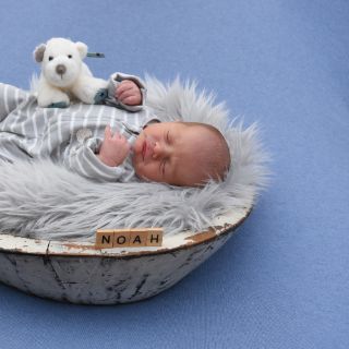 Noah