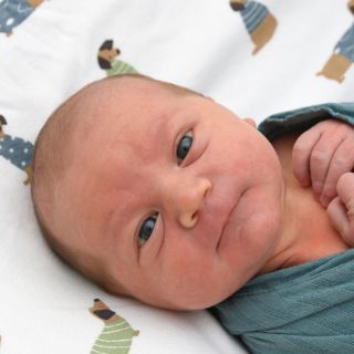 Alexander