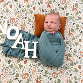 Noah