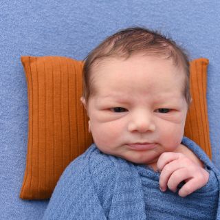 Constantin Felix Oscar