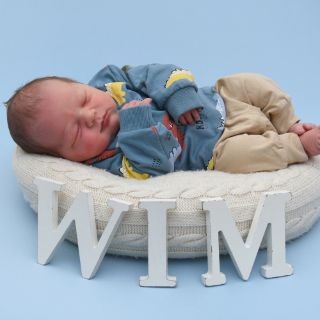 Wim Henri