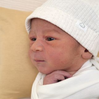 Taavi