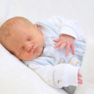 Levien