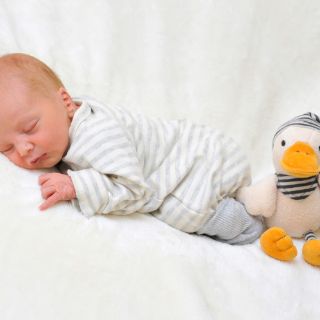 Levi Maximilian