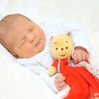 Isabella