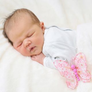 Isabel