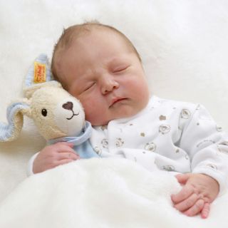 Hannes