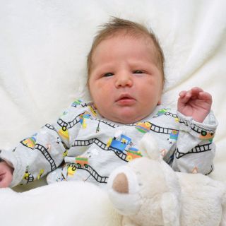 Alexander
