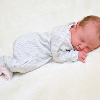Antonia Sophie