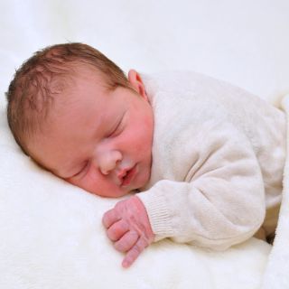 Hannes